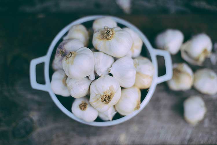 4 Benefits of Garlic and Honey