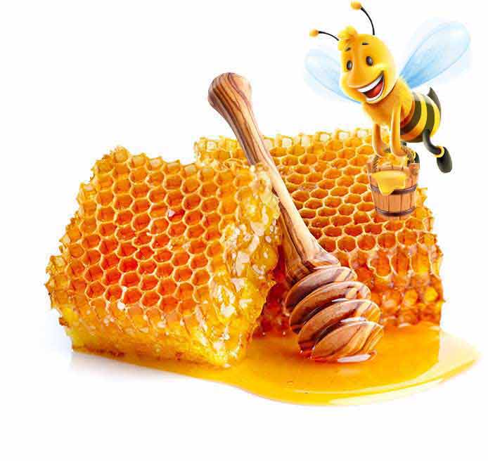 Honey - 100% Pure Honey for Wellbeing & Immunity | Dabur Honey